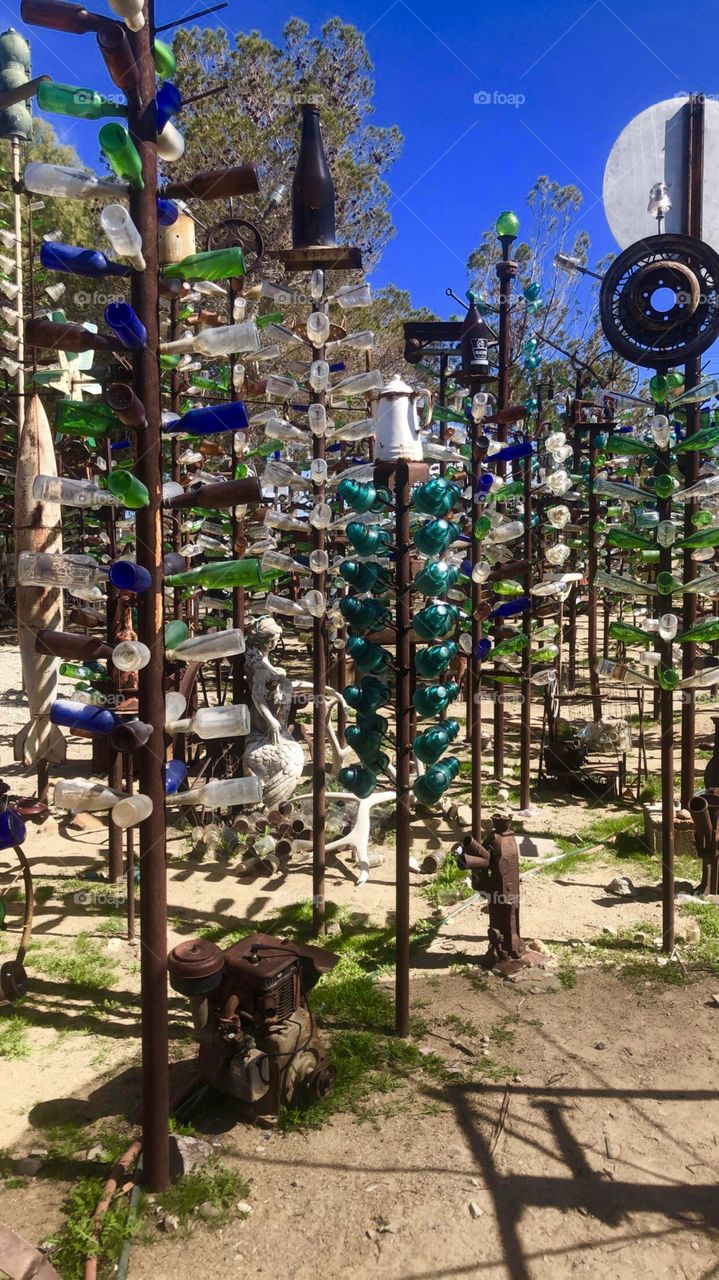 Bottle tree ranch 