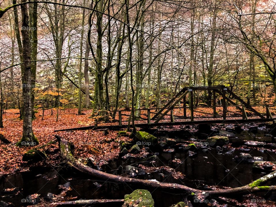 Söderåsen Nationalpark Sweden