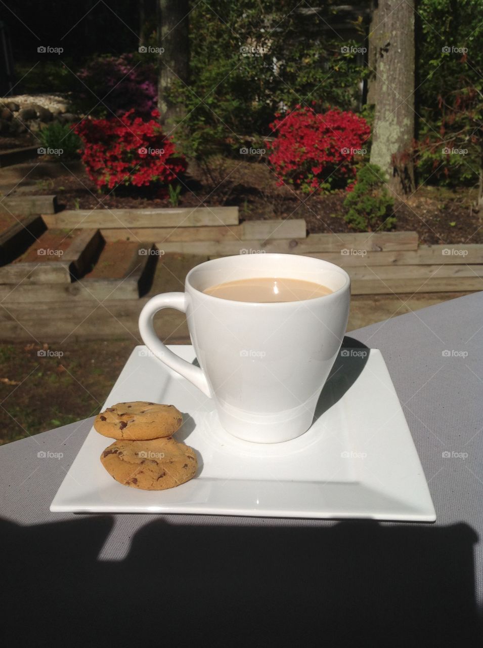 Enjoying a cup of coffee outdoors on a beautiful spring day.