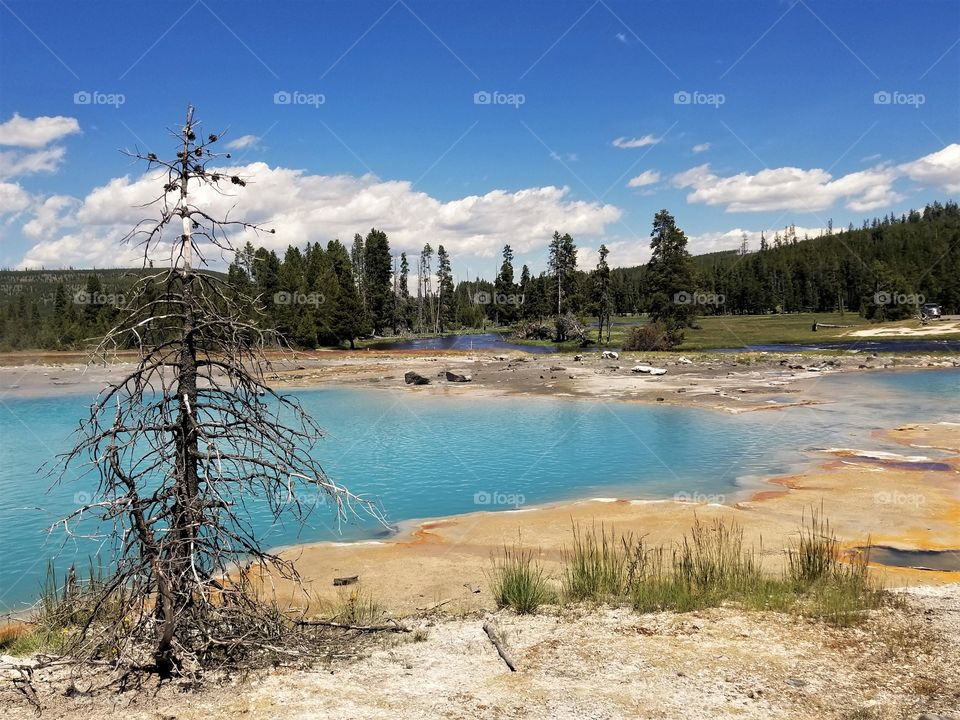 Perfect imperfections