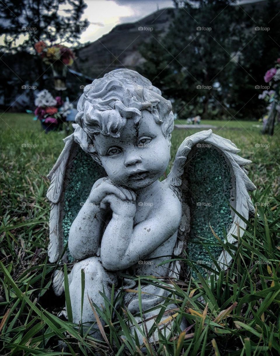 Stare Into My Cold, Hard Eyes.