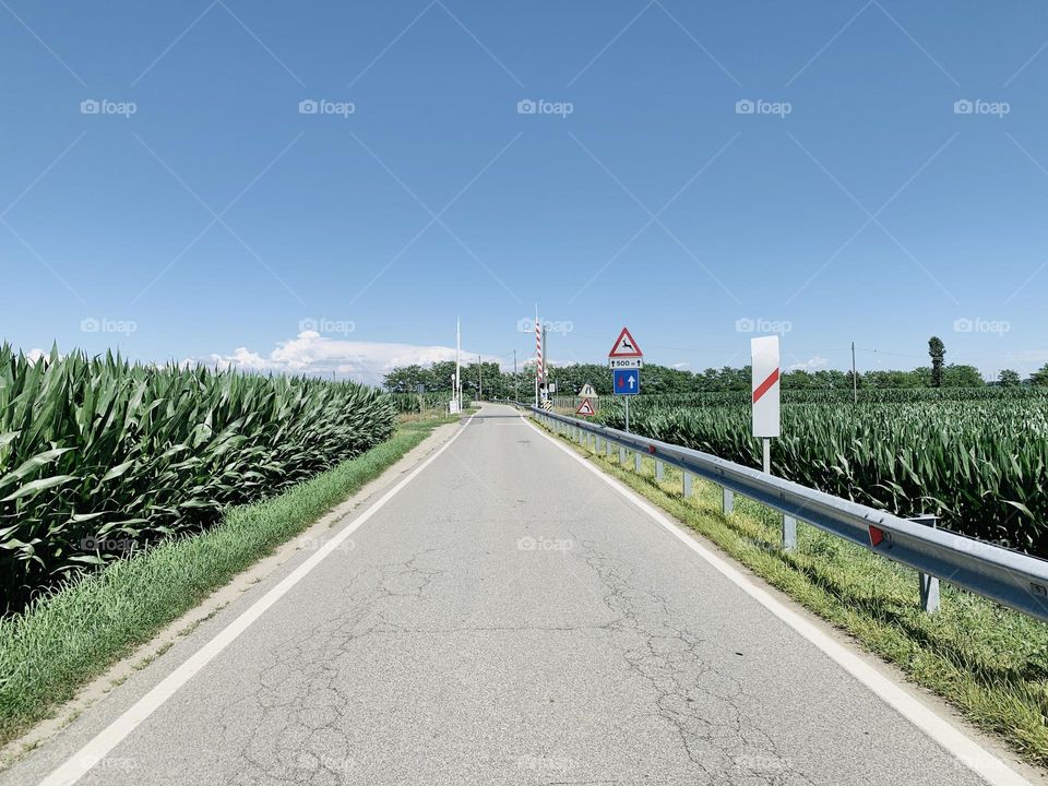 an anonymous road typical of the Po valley