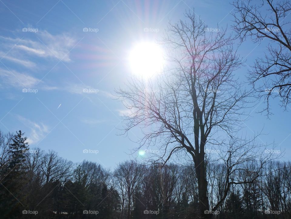 A Monday morning walk at a city park. It’s a mild day, and Spring has yet to make an appearance. But we can pretend! 