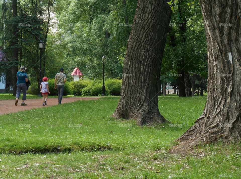 walk in the summer park