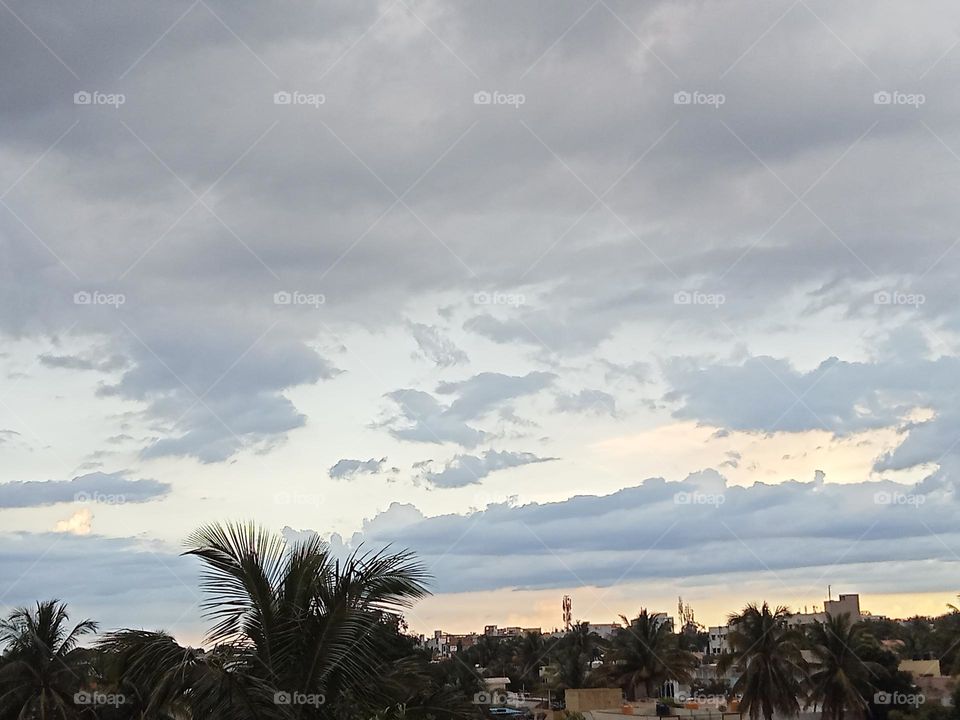 Beautiful sky with green trees!