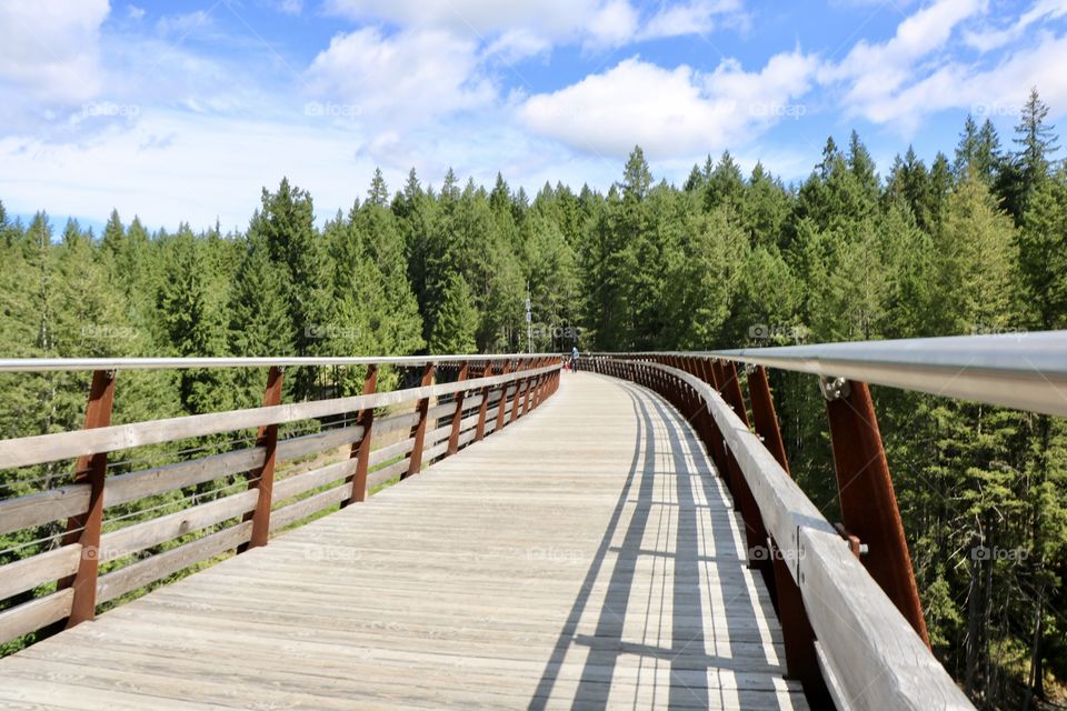 Kinsol Trestle , once a railroad - now a boardwalk up high into the woods. Shawnigan Lake , British Columbia