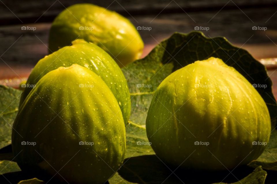 Ripe figs fresh from tree