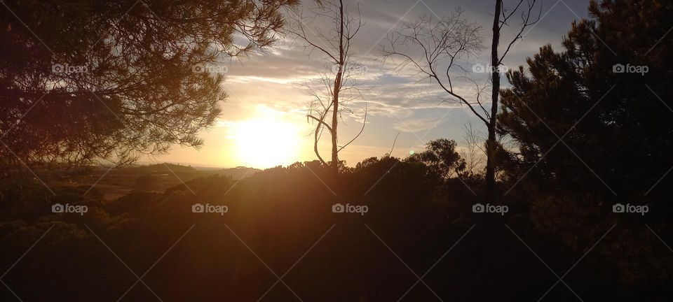 atardecer dunas Doñana