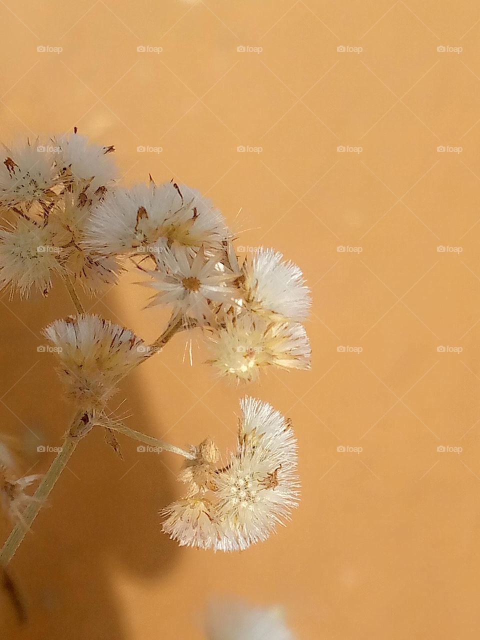 Always be the best version of yourself