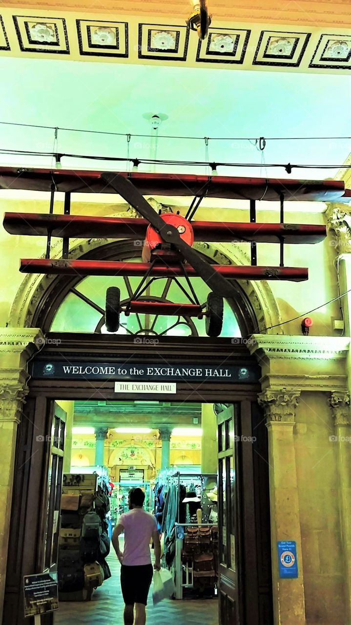 Red Model Flying Plane