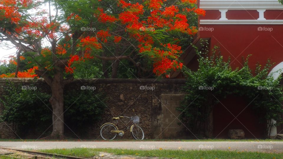 Bike parked roadside