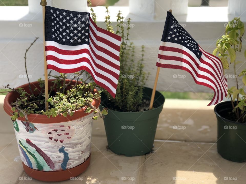 Patriotic plants