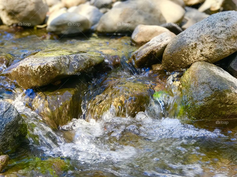 Bubbling Brook 