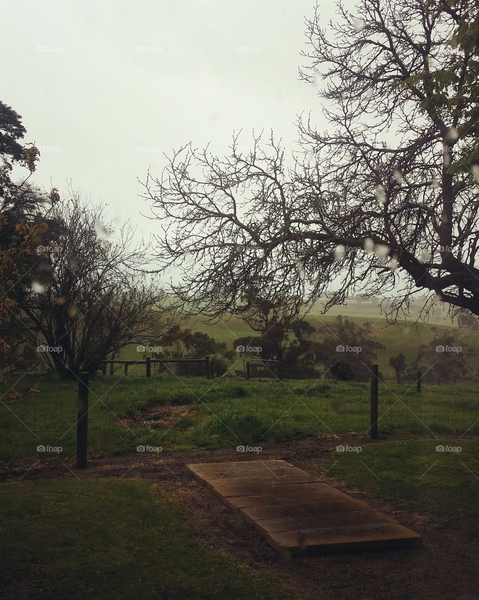 Chilly days on an Australian farm. Damp ground brings the scent of grass, and fog rolls over the hills.