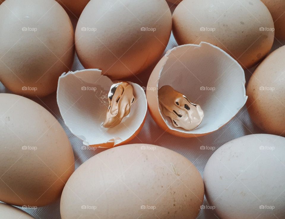 Golden earrings among fragile eggs