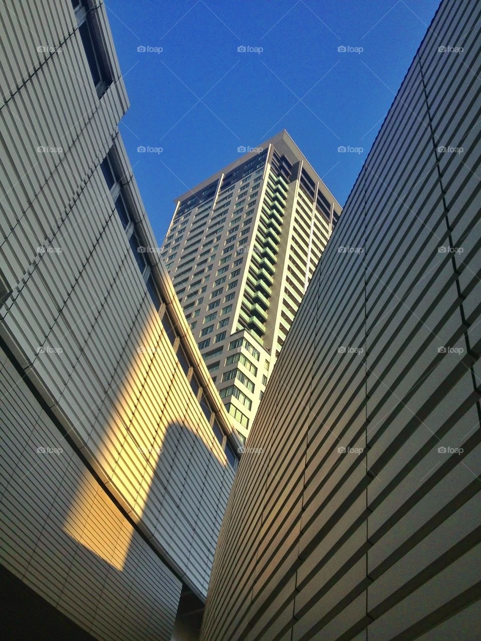 Tokyo Buildings