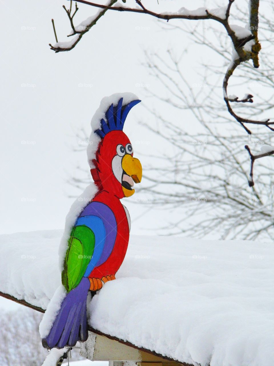 birds made of wood in the garden and Snow White