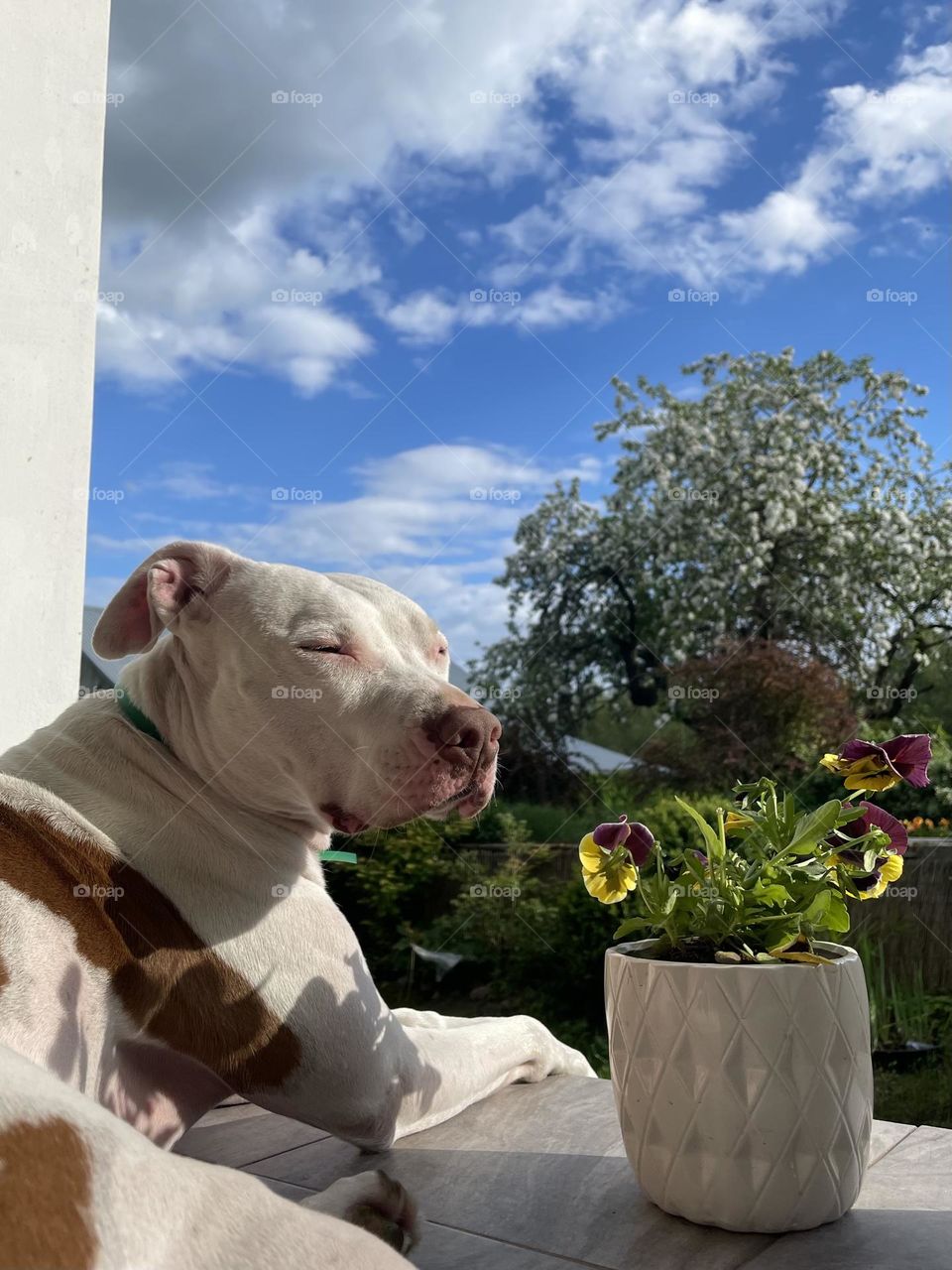 Enjoying the sun☀️