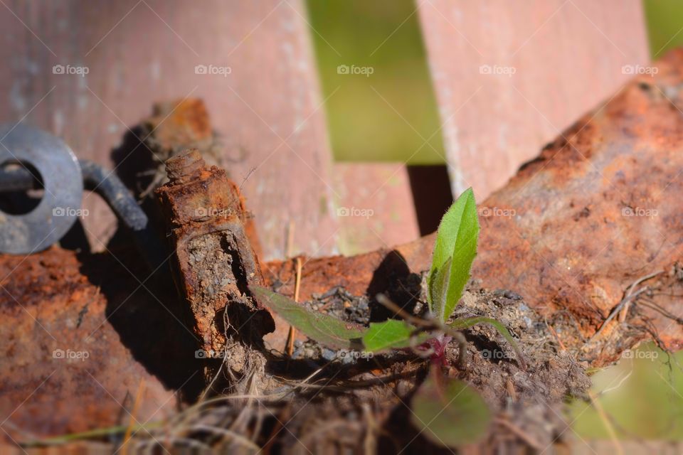 Old Metal Found While Metal Detecting In Backyard