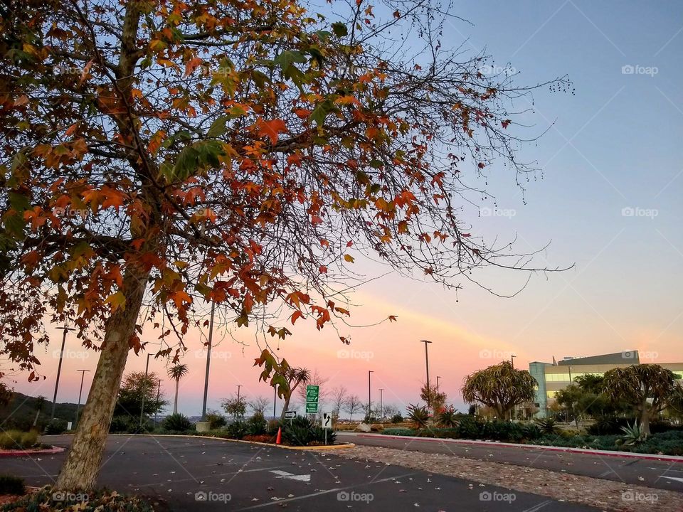 Early dawn heading out to San Diego East County via Poway & the I-15 freeway South (leaving the office block off Scripps Poway Parkway)