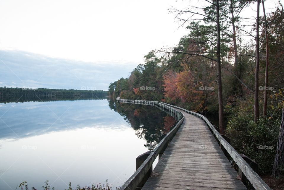 Boardwalk