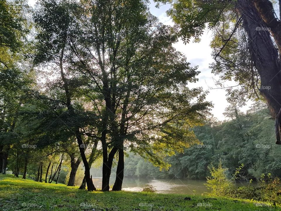 Leska is a village in Croatia within the City of Delnice. Located in Primorje-Gorski Kotar County.  Ship on heap