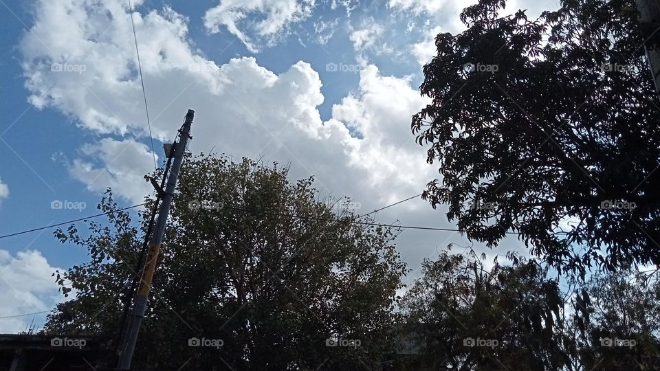 Beautiful sky with green trees!!