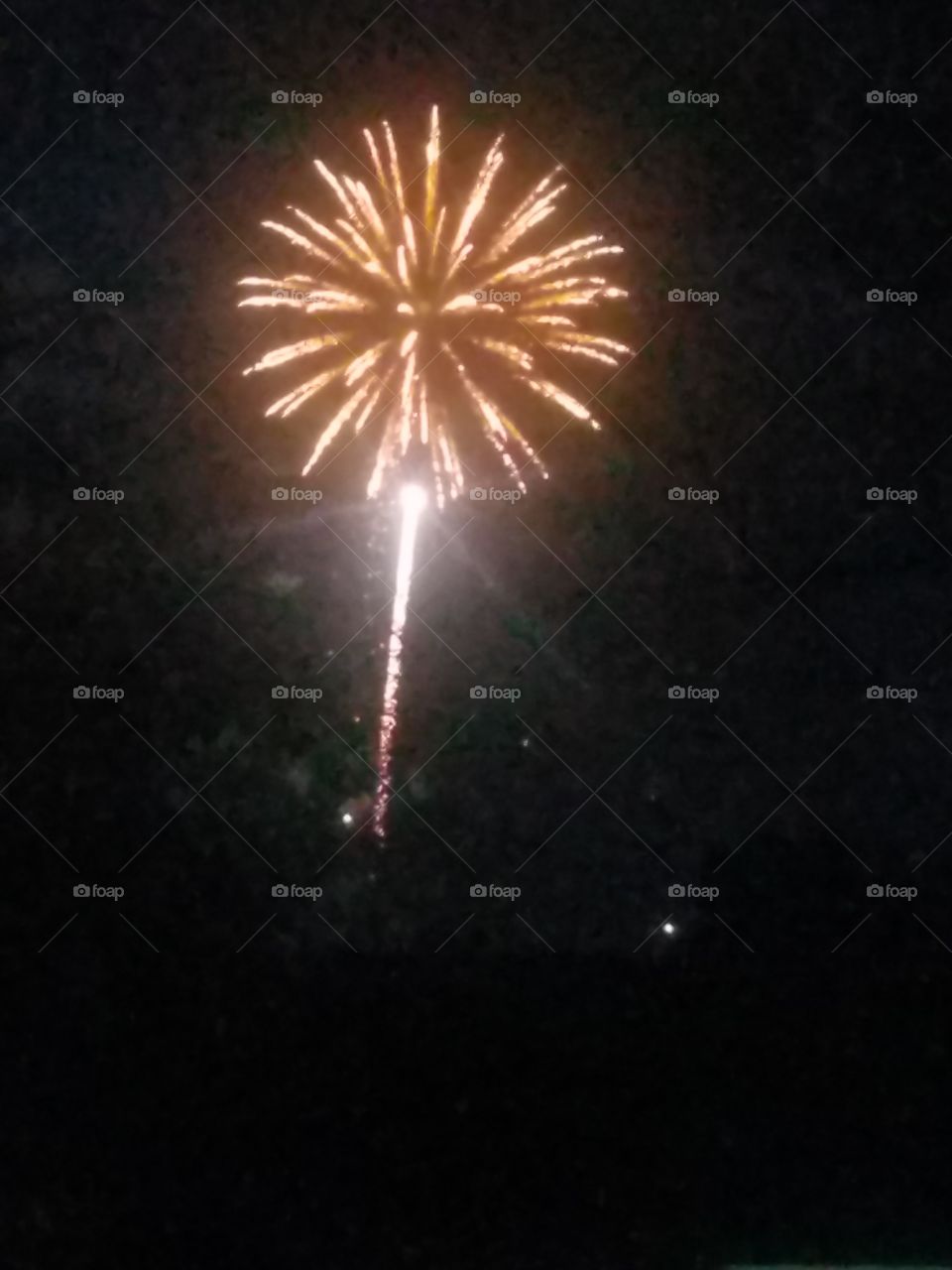 veterans day fireworks