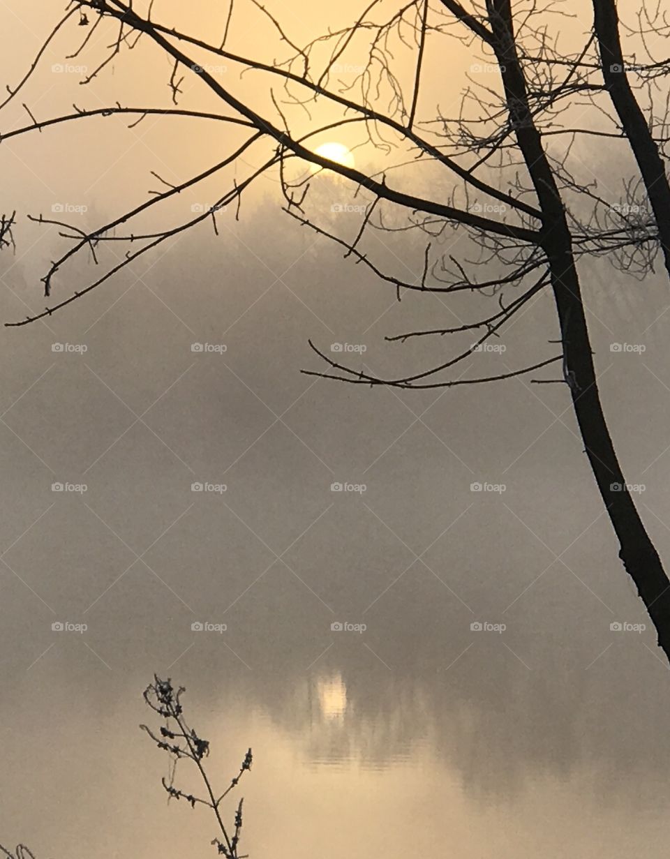 Foggy Holiday Lake Morning