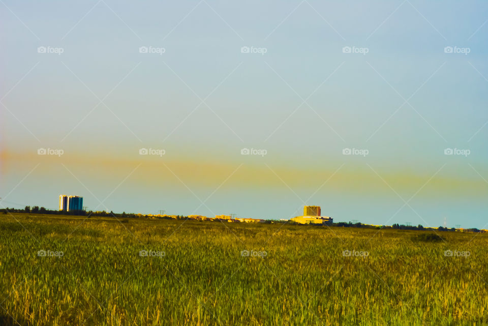 Edge of the Everglades