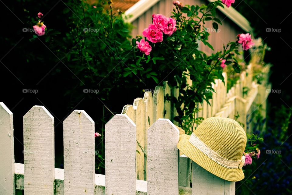 Lovely garden. Summerhat