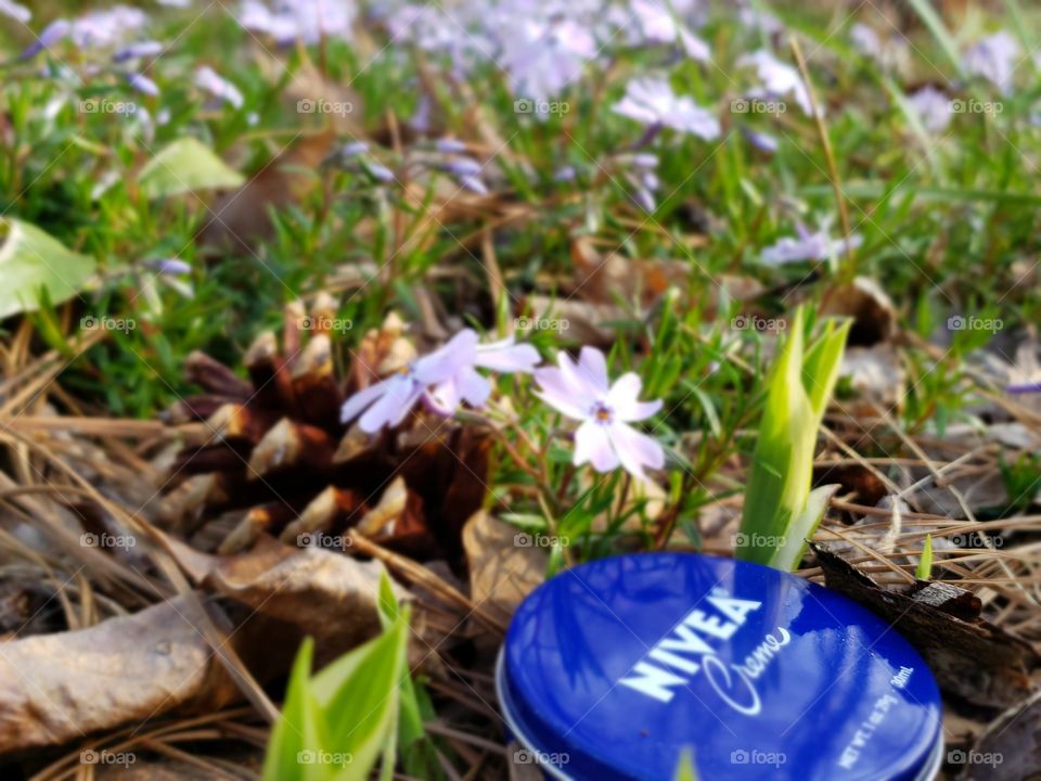 Spring and Nivea