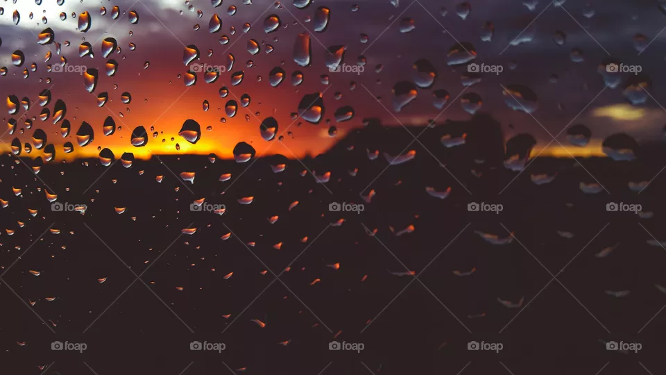sunlight