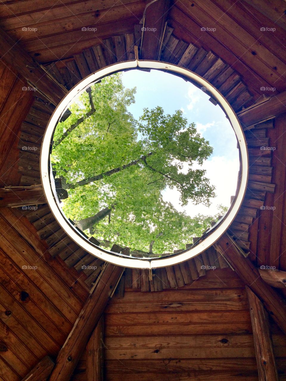Through the treehouse roof.