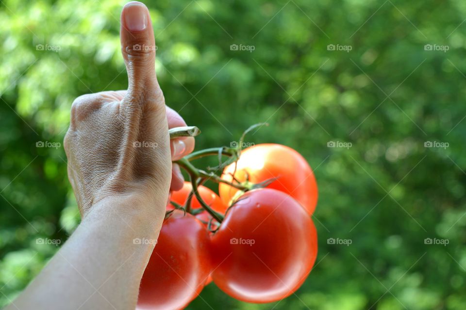 Nature, Food, Outdoors, Summer, Health