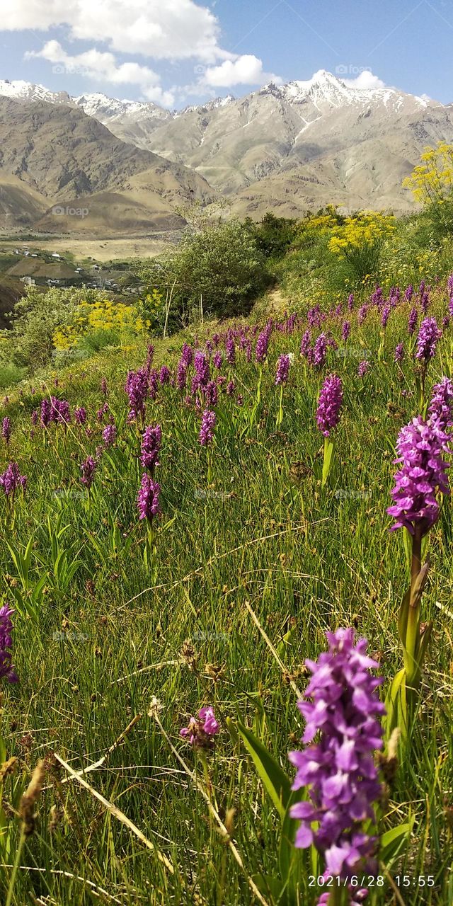 Dras Ladakh India the second coldest place in the world