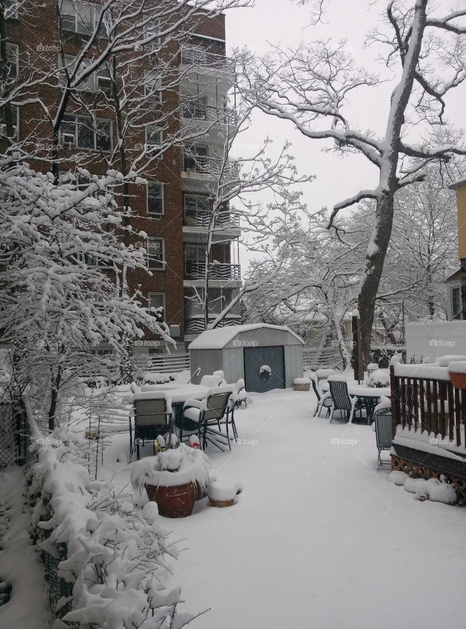 Winter In Riverdale. The backyard during winter, in the Bronx, NY