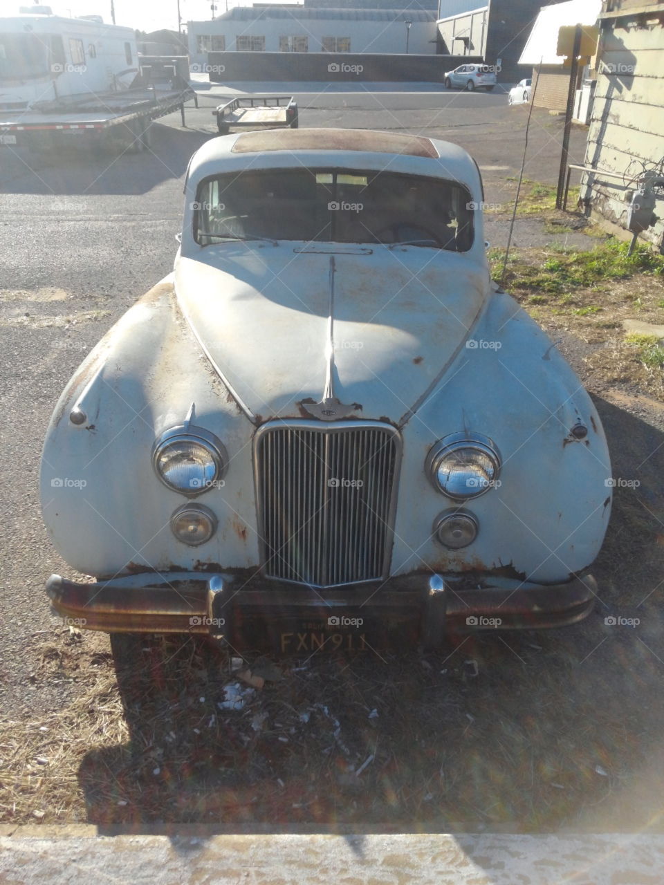 1950s Jaguar - sad to see abandoned/neglected