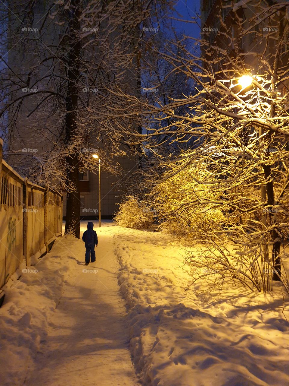 Winter fairy tale, winter, snow, evening Moscow, beautiful trees, trees in the snow