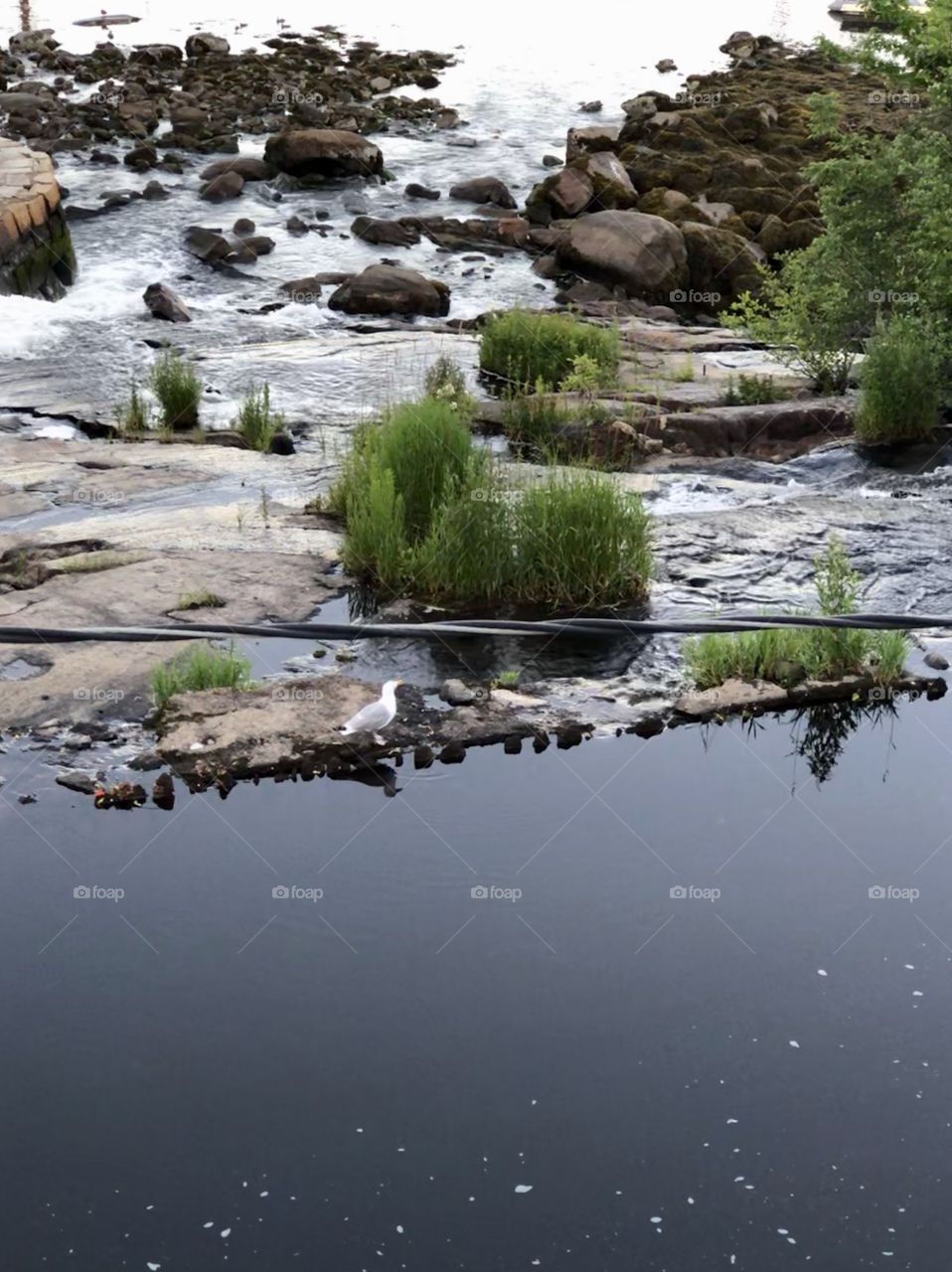 Aerial view of Camden Harbor waterfront in Maine where waterfall empties into  