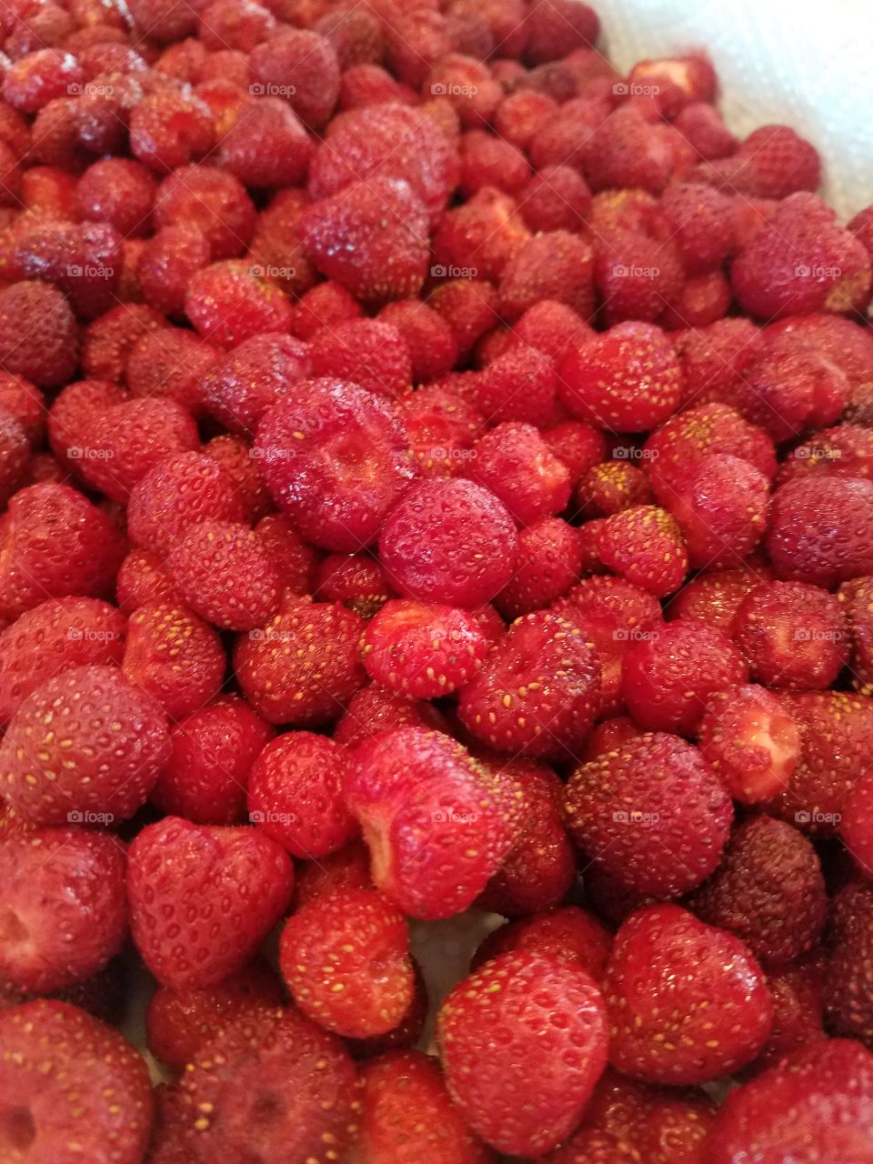 fresh home grown strawberries, red, berrie