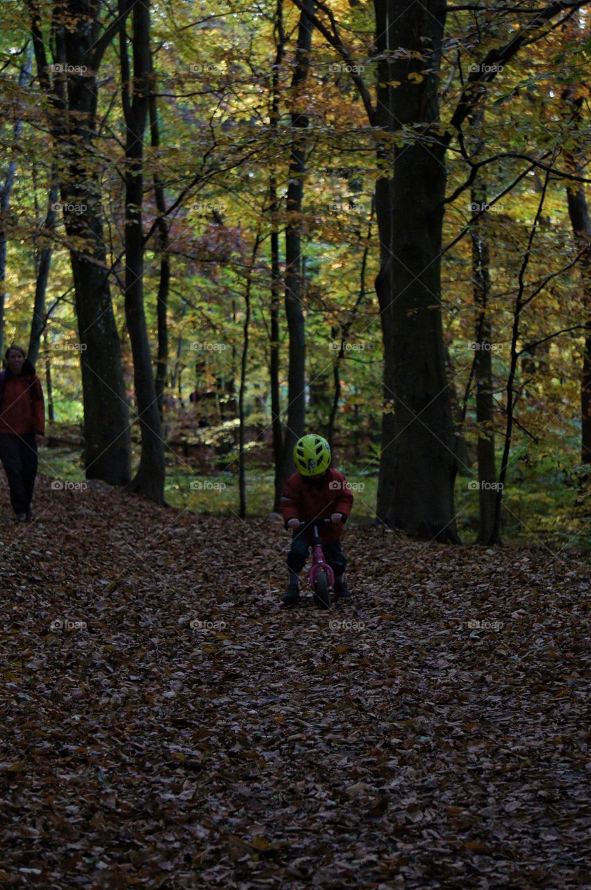 Playing in the Woods 