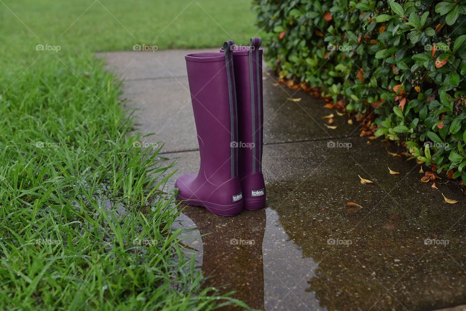 Totes boots near a puddle