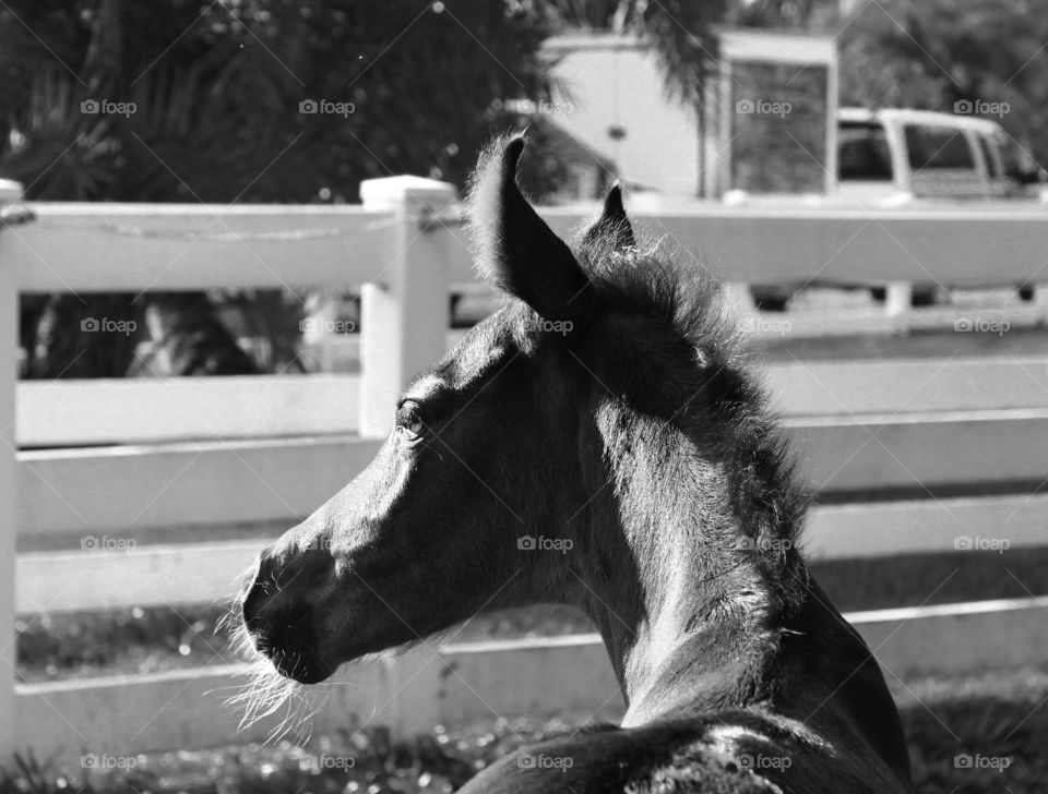 Little man's first day in the sun
