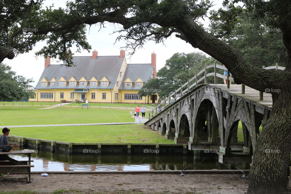 Tree, Architecture, No Person, Building, Outdoors