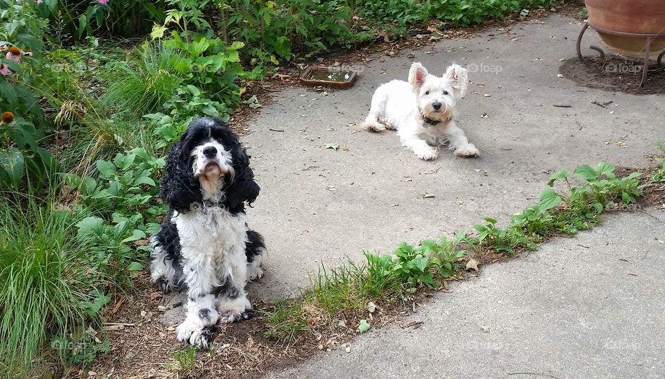 Mickey and Cara looking at camera