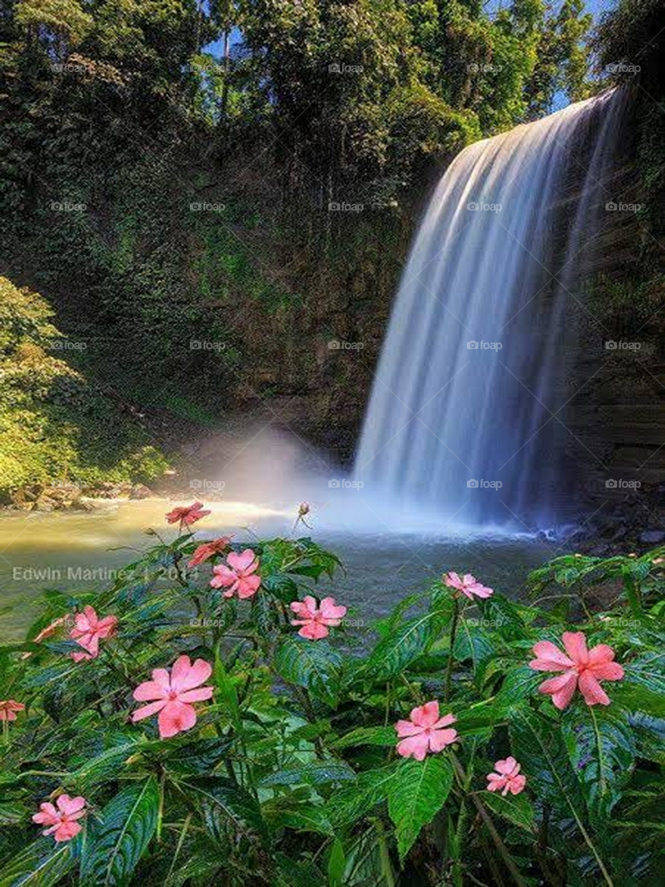 falls and the flowers 🌺