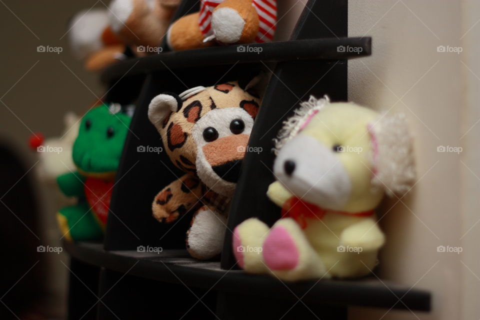 a curious cute teddy looking at you