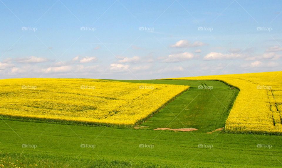 rural landscape