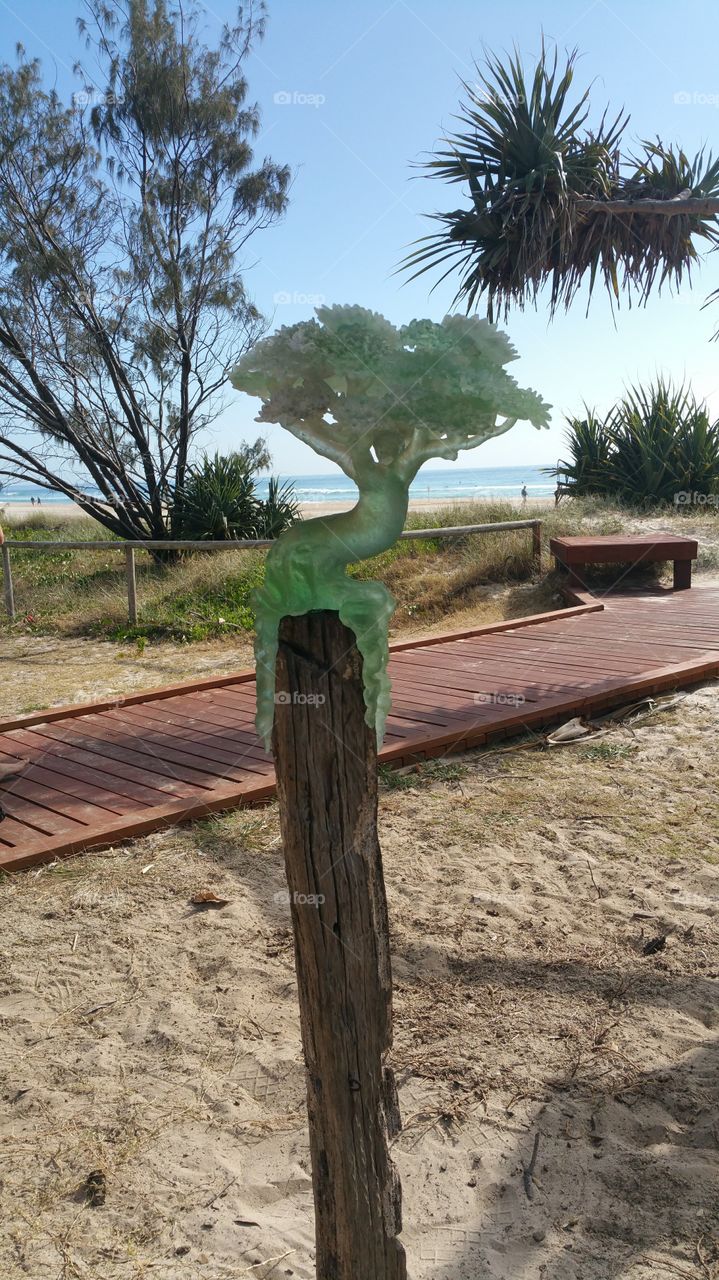 Miniature Bonsai by the Beach